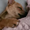 niknak256