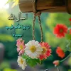 habibatiamira