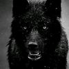 mike_9494