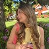 the.noelle.diaries