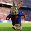 alvarocarbajal11