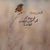 abeeer25