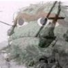 free_labor_cotten_picker