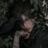 dreamlionn