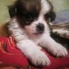 marle0703