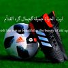 user4092825741833
