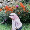 kst.aneuu