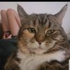 fluffybummum