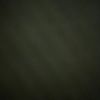 jab_167
