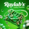 ray_labs