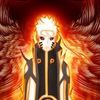 nefer5454