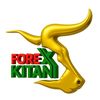 forexkitani