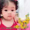 loanpham008