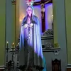 franciscooliveira7968