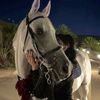 saroo_412