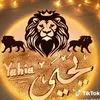 user54320223
