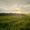 _j0shhyy