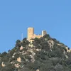 vipardo