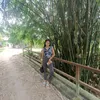 kiity272