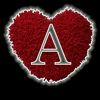 asgharbhatti072