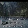 assadabbas55