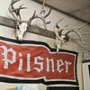 kingofpilsner