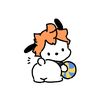 orange_shoyoo