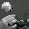 userpnrdbowxcrmnm