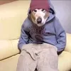 bigmonkeyboi123