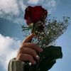 user825842072