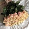 mm_78896