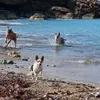 albanidiaz0