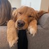 marvinthegolden1