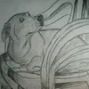 skeletonto0.1