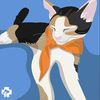 catnamedpluto