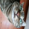 ardawww_39