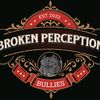 broken.perception