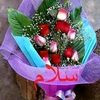 salha_swar
