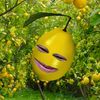 a_n_j_e_l_i_muuuuuuu