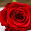 oum.majda22