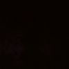 vc_wilber