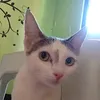tentenpotpot