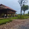 phamhuudung30