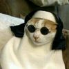 gato_monja