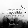 user46566418
