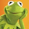 kermit890755677567