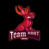 karotten_rabbit