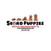 5boropups