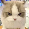 hnyuqie_nhw08
