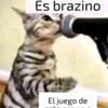 dylan_saaes